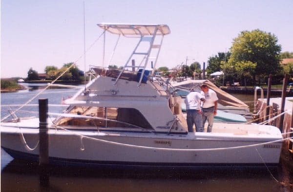 Phoenix Top 1982 image 1
