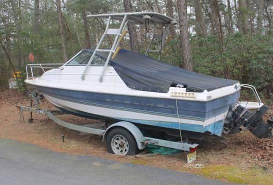 Bayliner Top image 1