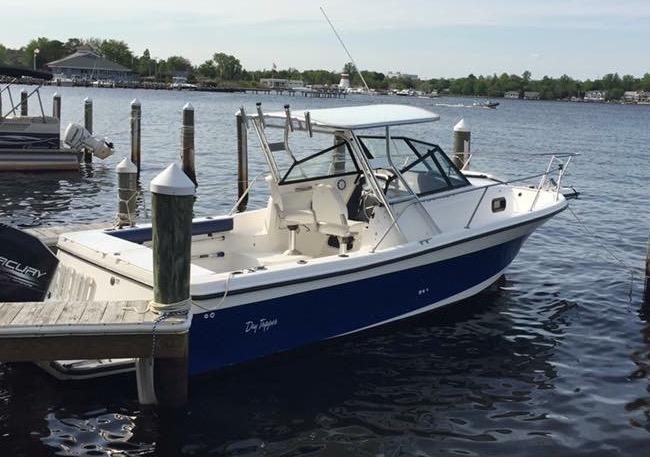 Bayliner Top image 1