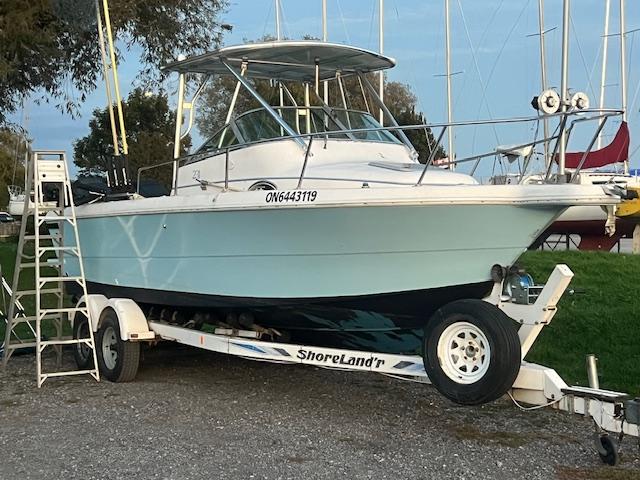 Entry from 2025-10-28