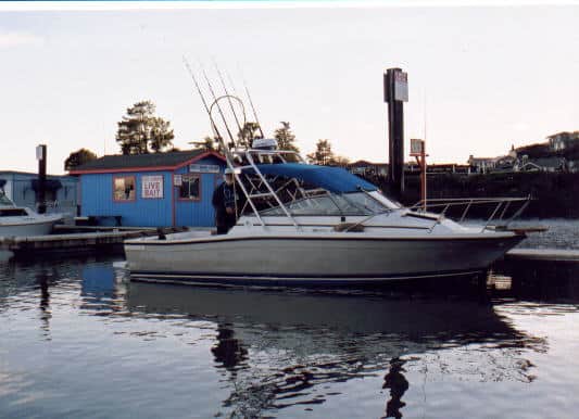 Bayliner 2460 Trophy Arch 1984 image 1