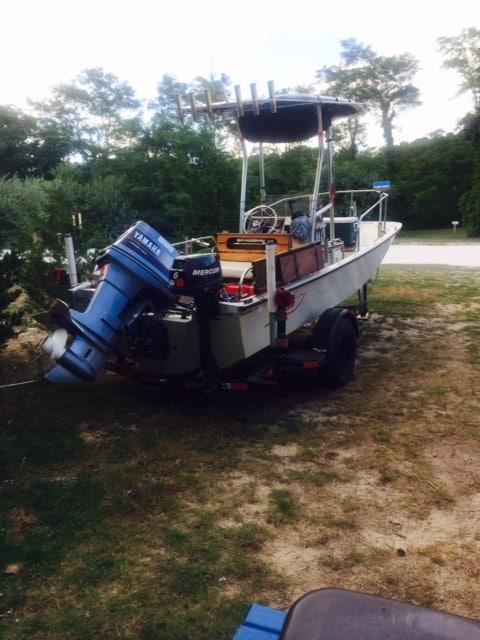 Boston Whaler 17 T-Top image 1