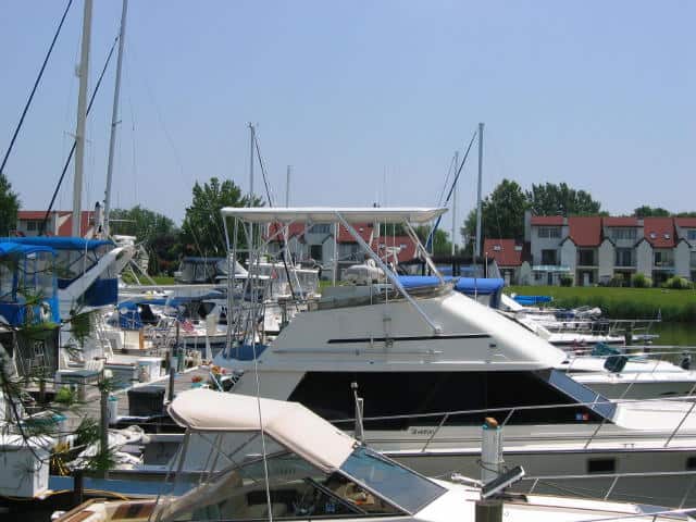 Silverton 40 Convertible Top 1985 image 1