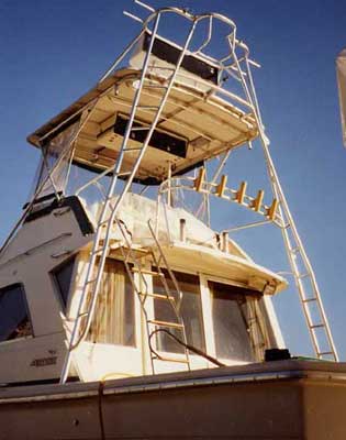 Phoenix 38 Convertible 1982 image 1