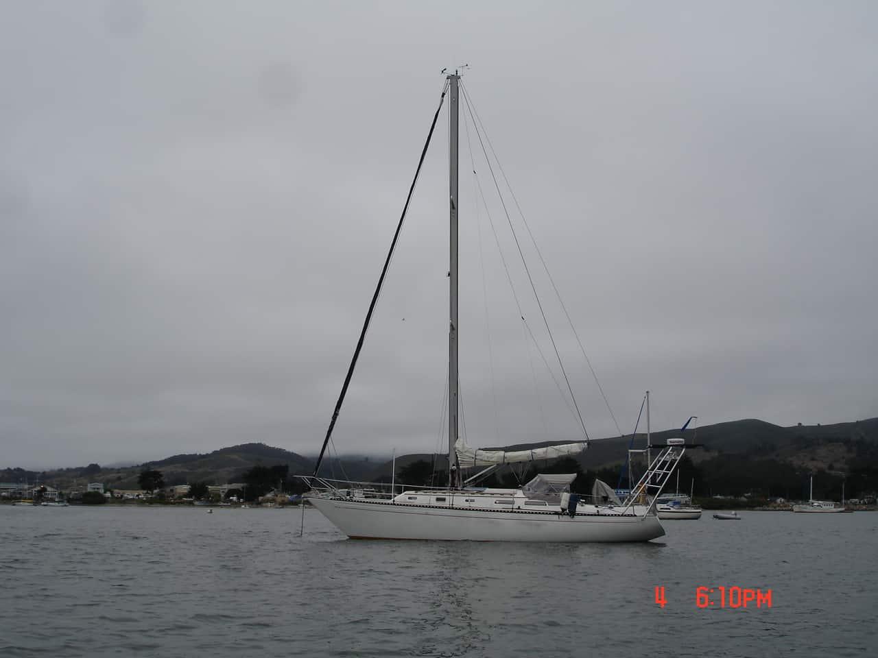 Islander Arch image 1
