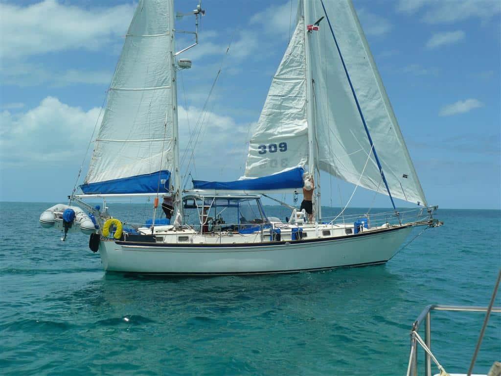 Whitbey Top image 1