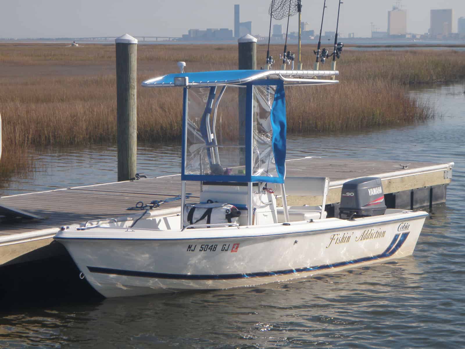 Cobia 174 T-Top 1998 image 1