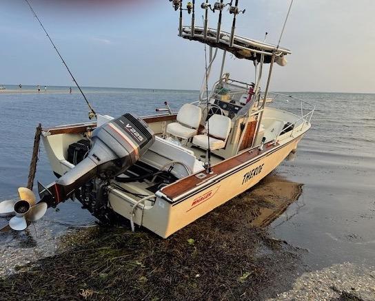 Boston Whaler T-Top 1988 image 1