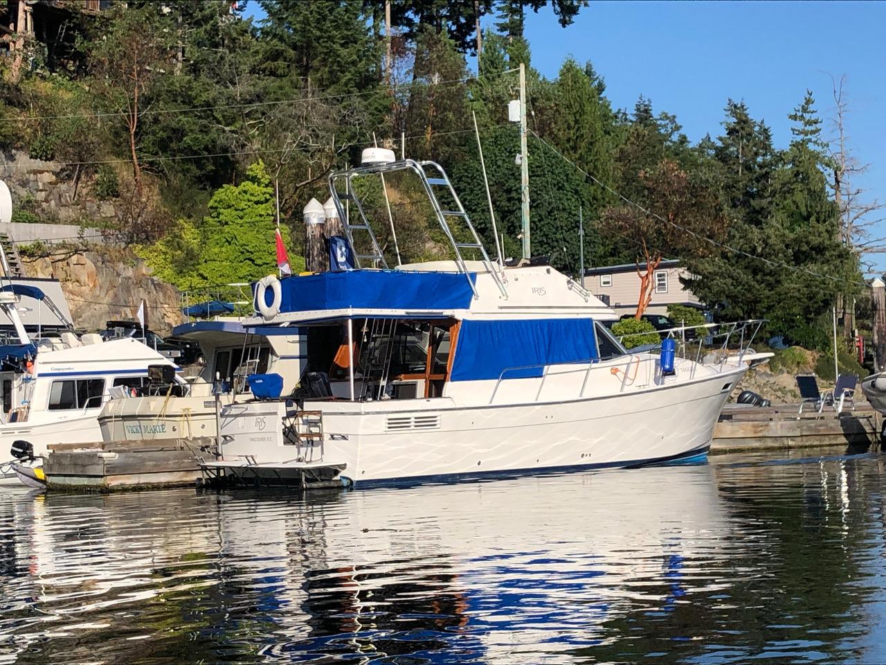 Bayliner Arch 1988 image 1