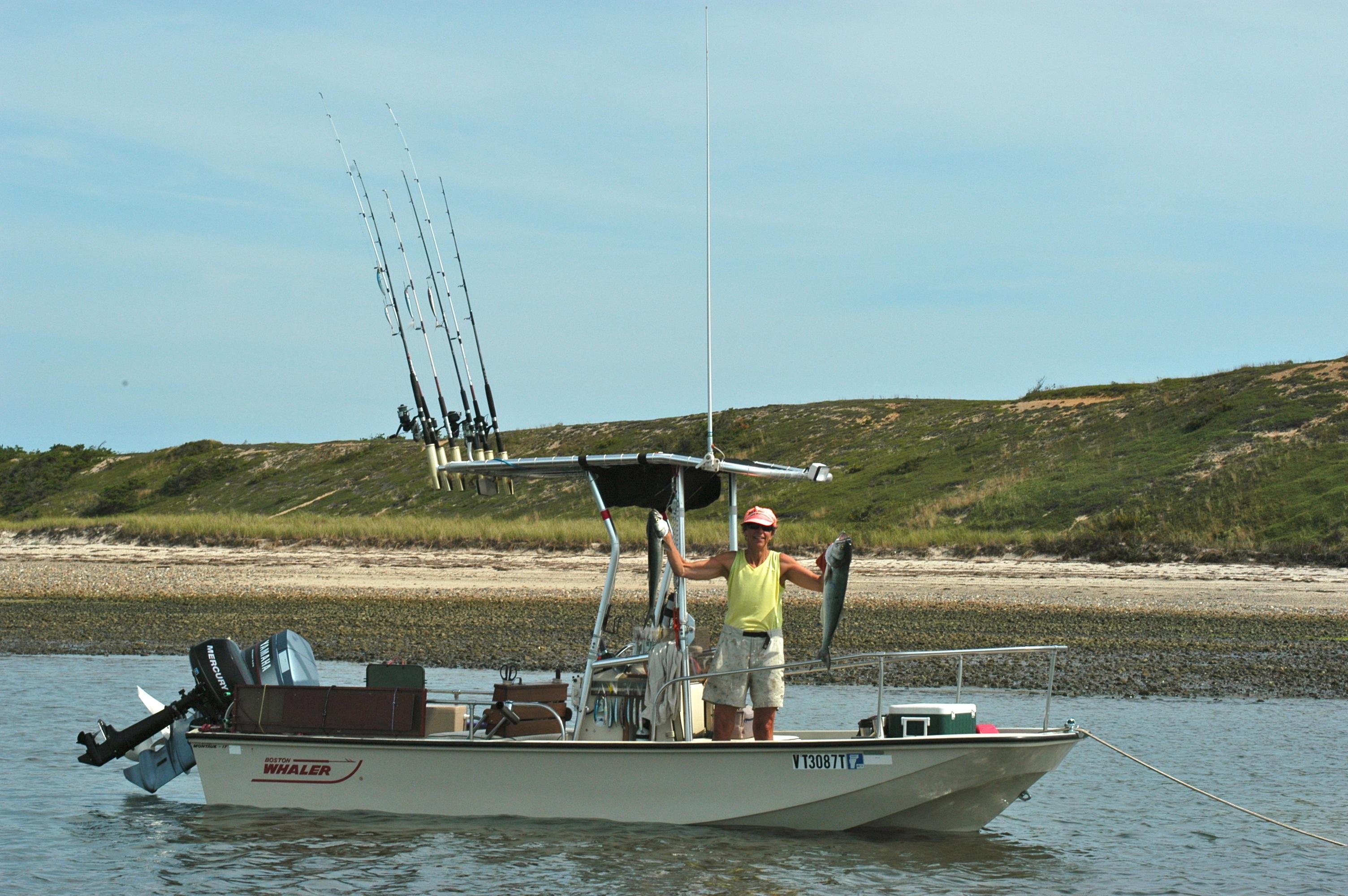 Boston Whaler 17 T-Top image 1