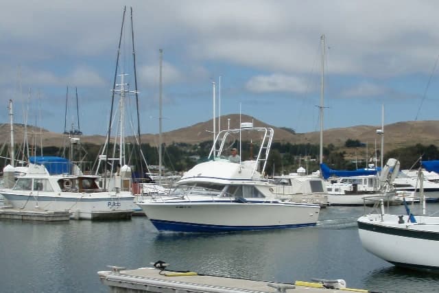 Bertram 28 Flybridge cruiser III Arch 1987 image 1