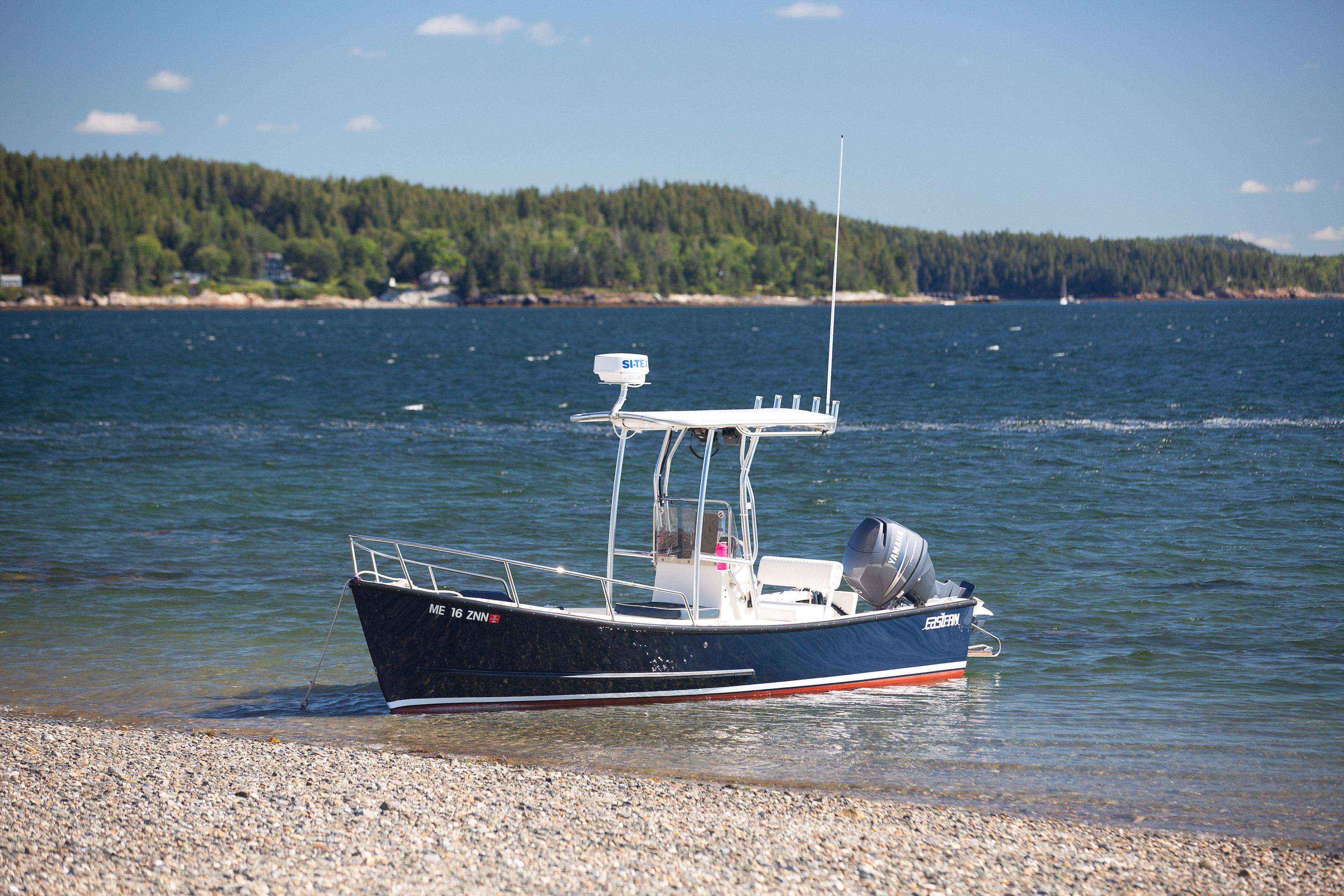 Eastern Boats T-Top 2019 image 1