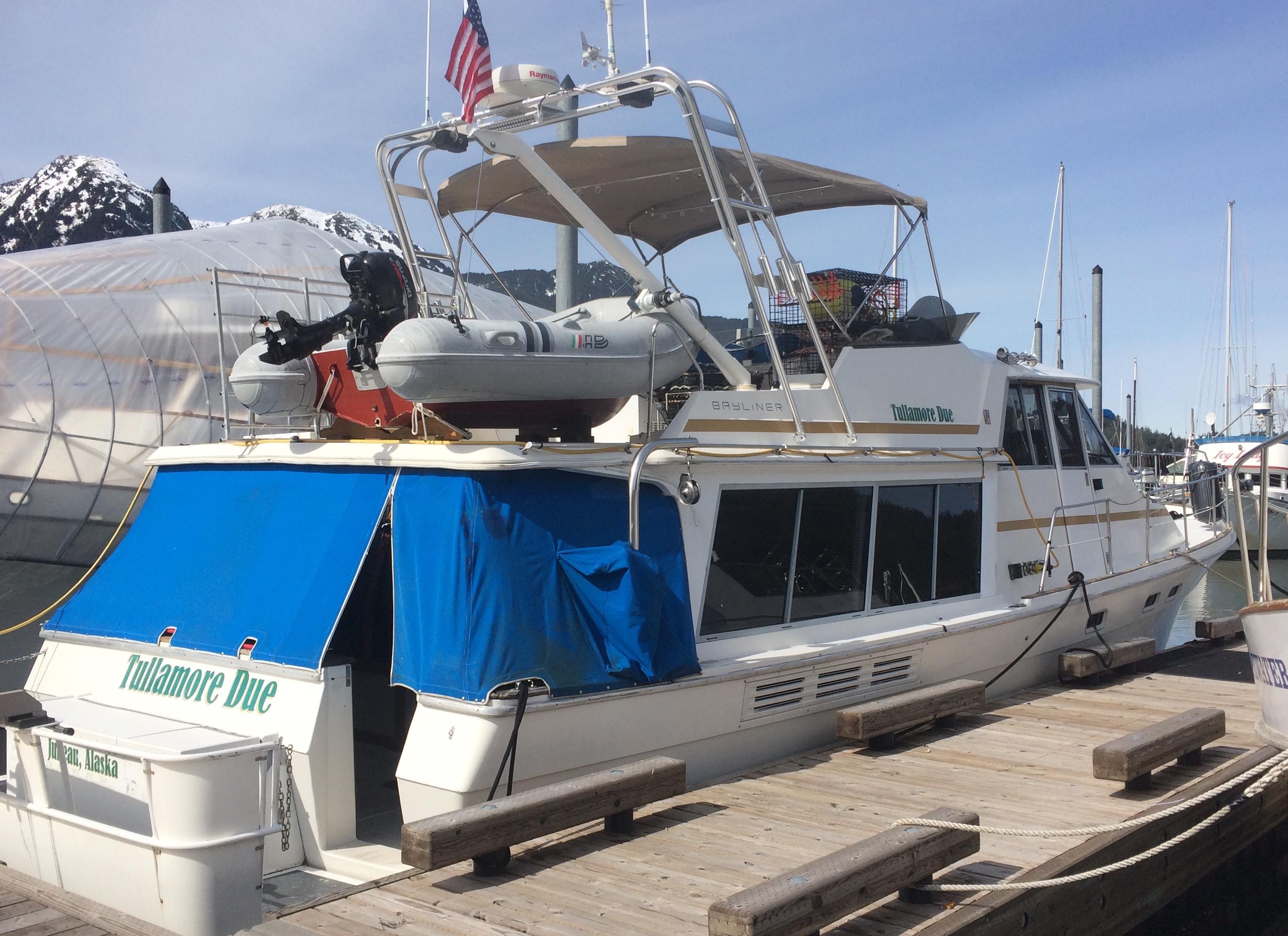 Bayliner Arch image 1