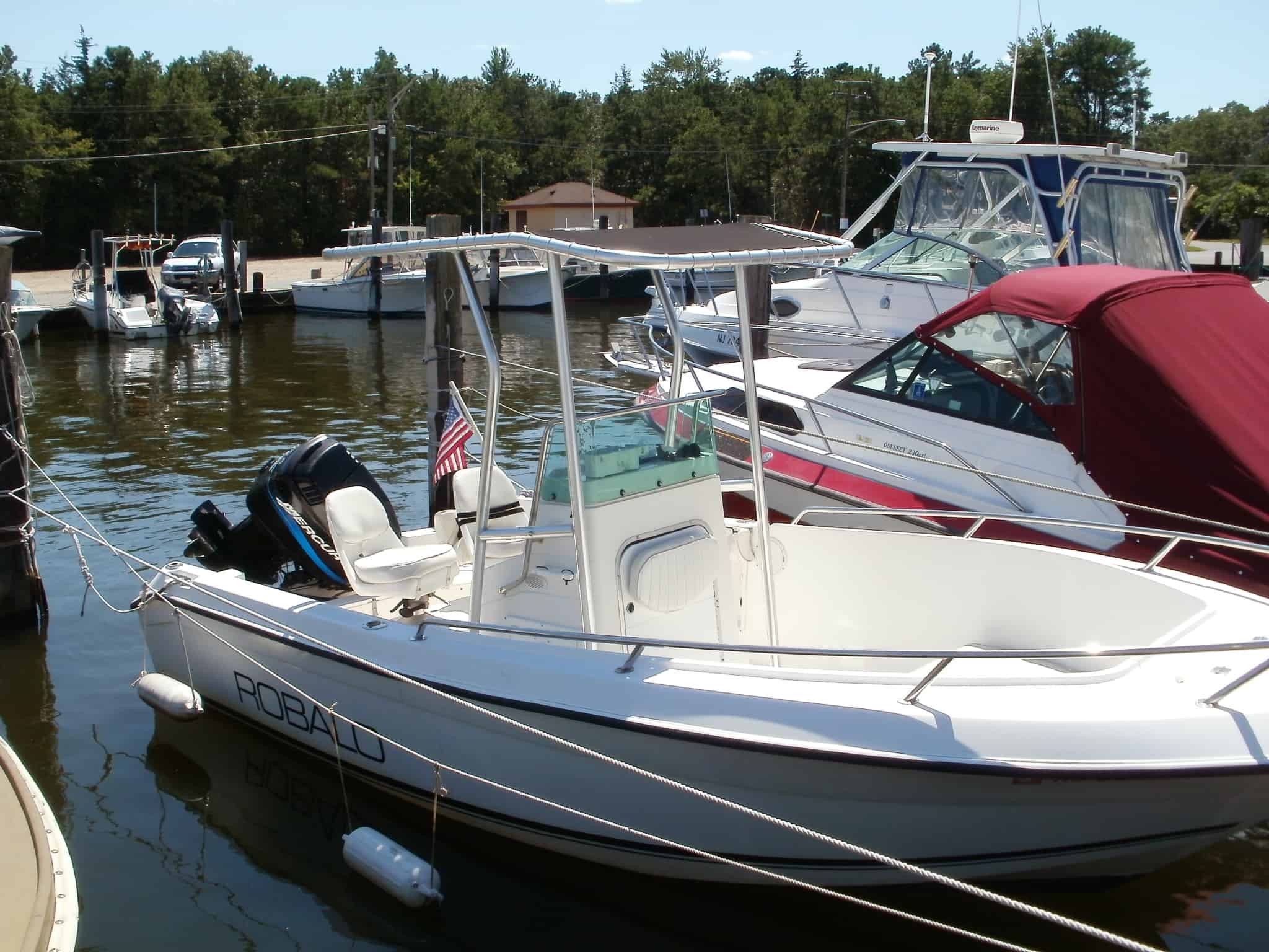 Robalo 18 T-Top image 1