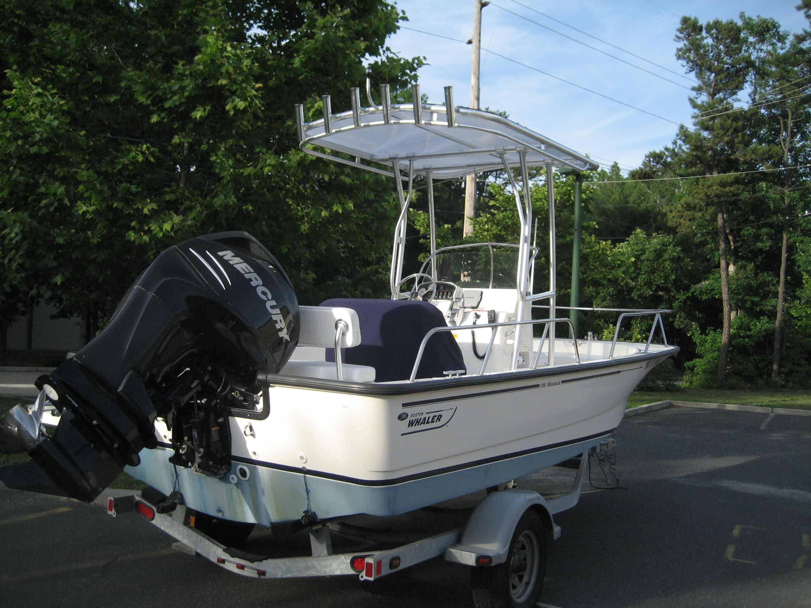 Boston Whaler T-Top image 1