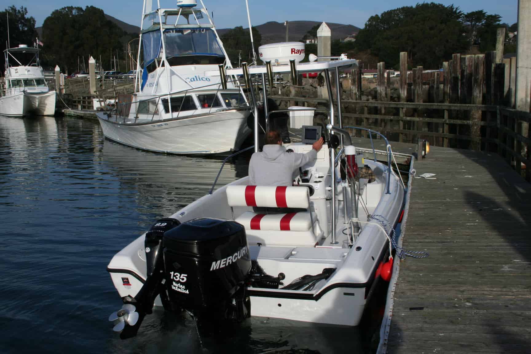 Campion 19 Sea Champ T-Top 2006 image 1