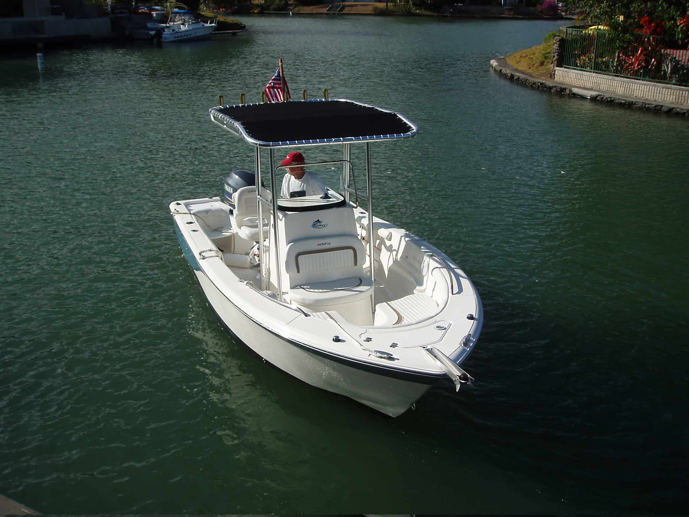 Sea Fox 206 T-Top 2008 image 1