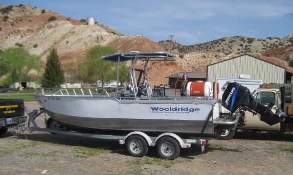 Wooldridge T-Top image 1