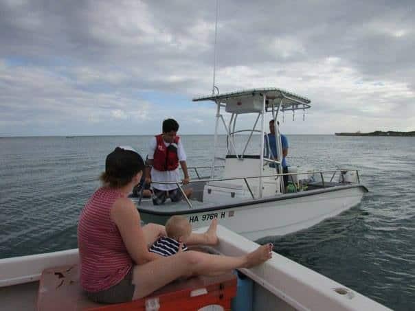 Glass Cat 18 Catamaran T-Top 2013 image 1