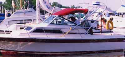 Wellcraft 248Sportsman/ Coastal Arch 1980 image 1