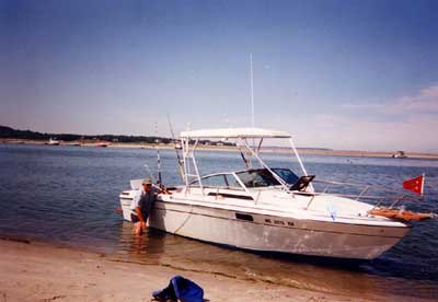 Robalo 260 Top 1977 image 1