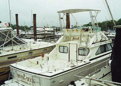 Bertram 28 Flybridge Cruiser Top 1971 image 1