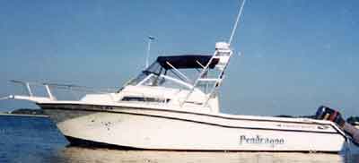 Grady White 272 Sailfish Arch 1994 image 1