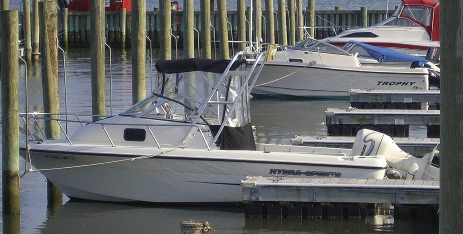 Hydra Sports 212 Arch 1999 image 1