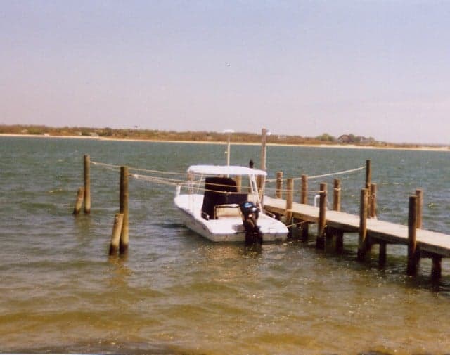 Boston Whaler 220 Dauntless Arch image 1