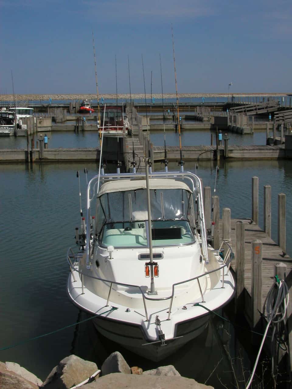 Neptune 230 Sunbird Arch image 1