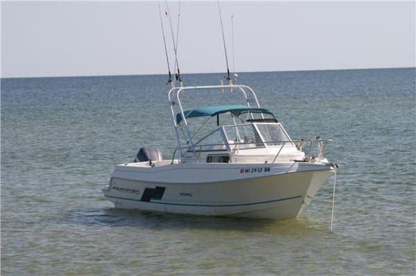 Aquasport 225 Explorer Arch 1994 image 1