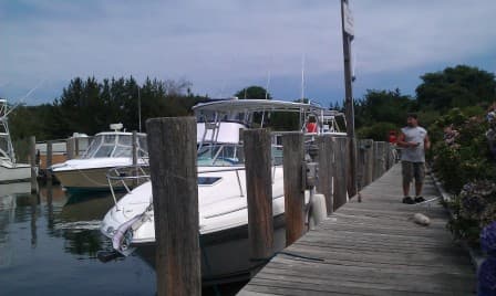Sea Ray 260 Sundancer Top 1999 image 1