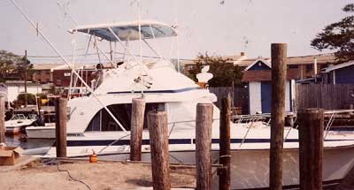 Bertram 35 Convertible Top 1970 image 1