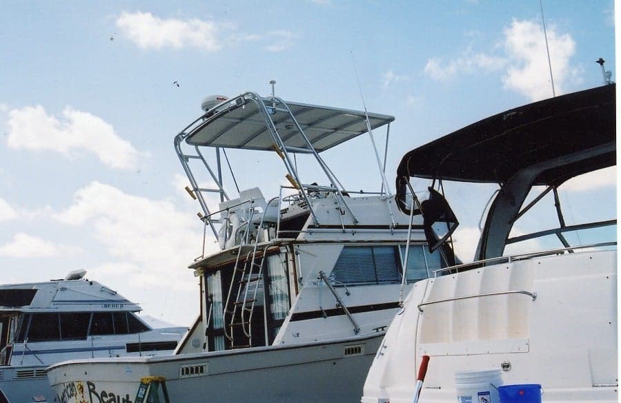 Viking Sportfish Top 1975 image 1