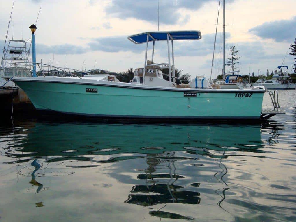 Topaz 24 T-Top image 1