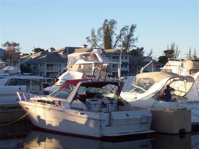 Sea Ray Accessories image 1
