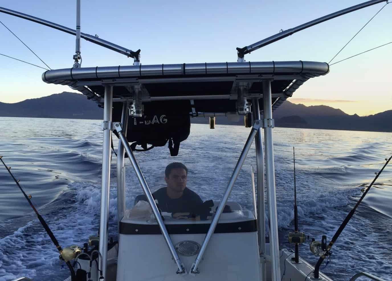 Boston Whaler T-Top image 1