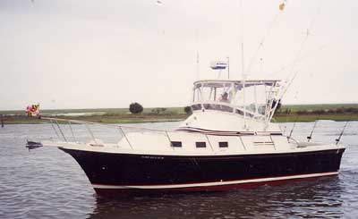 Albin 32+2 Command Bridge Top 1989 image 1