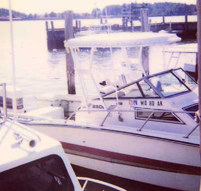 Hydra Sports 2500 WA Top 1982 image 1