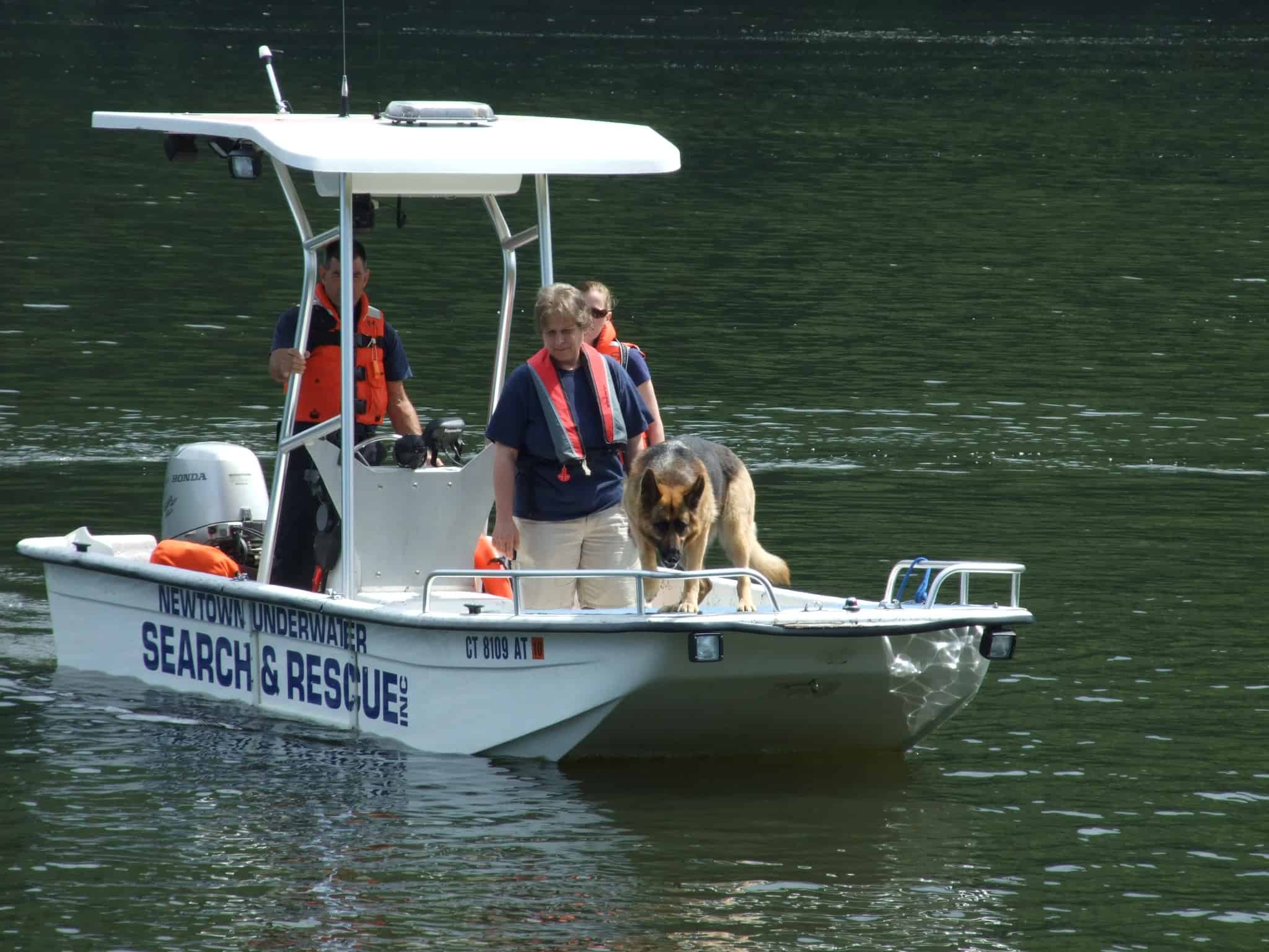 Carolina Skiff 19' T-Top 1995 image 1