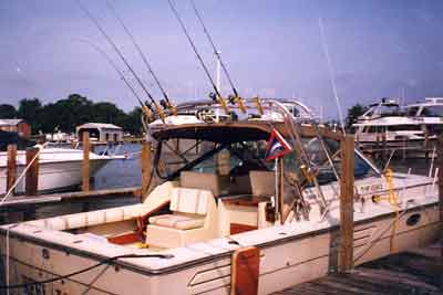Tiara 3100 Open Arch 1979 image 1