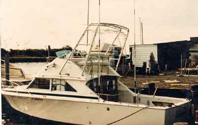Bertram 28 Flybridge Cruiser Arch 1971 image 1