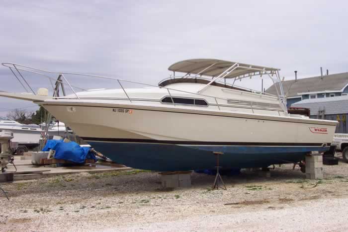 Boston Whaler Top image 1