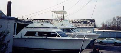 Bertram 28 Flybridge Cruiser Top 1971 image 1