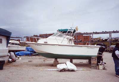 Edgewater 210 CC Arch 1996 image 1
