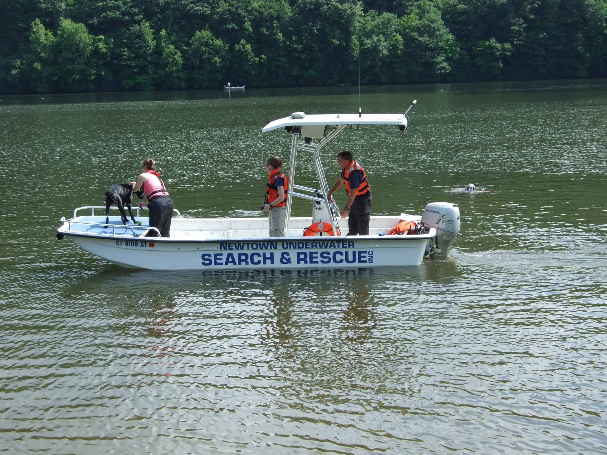 Carolina Skiff 19' T-Top 1995 image 1