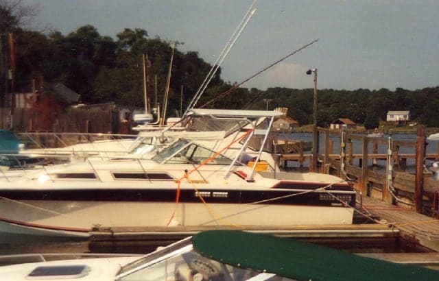Wellcraft 288/2900 Express Suncruiser Top 1980 image 1