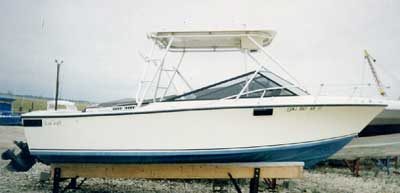 Sea Craft 23 Sceptre Top 1972 image 1