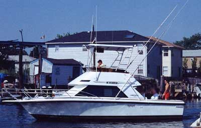 Phoenix 29 SFX Convertible Top 1988 image 1