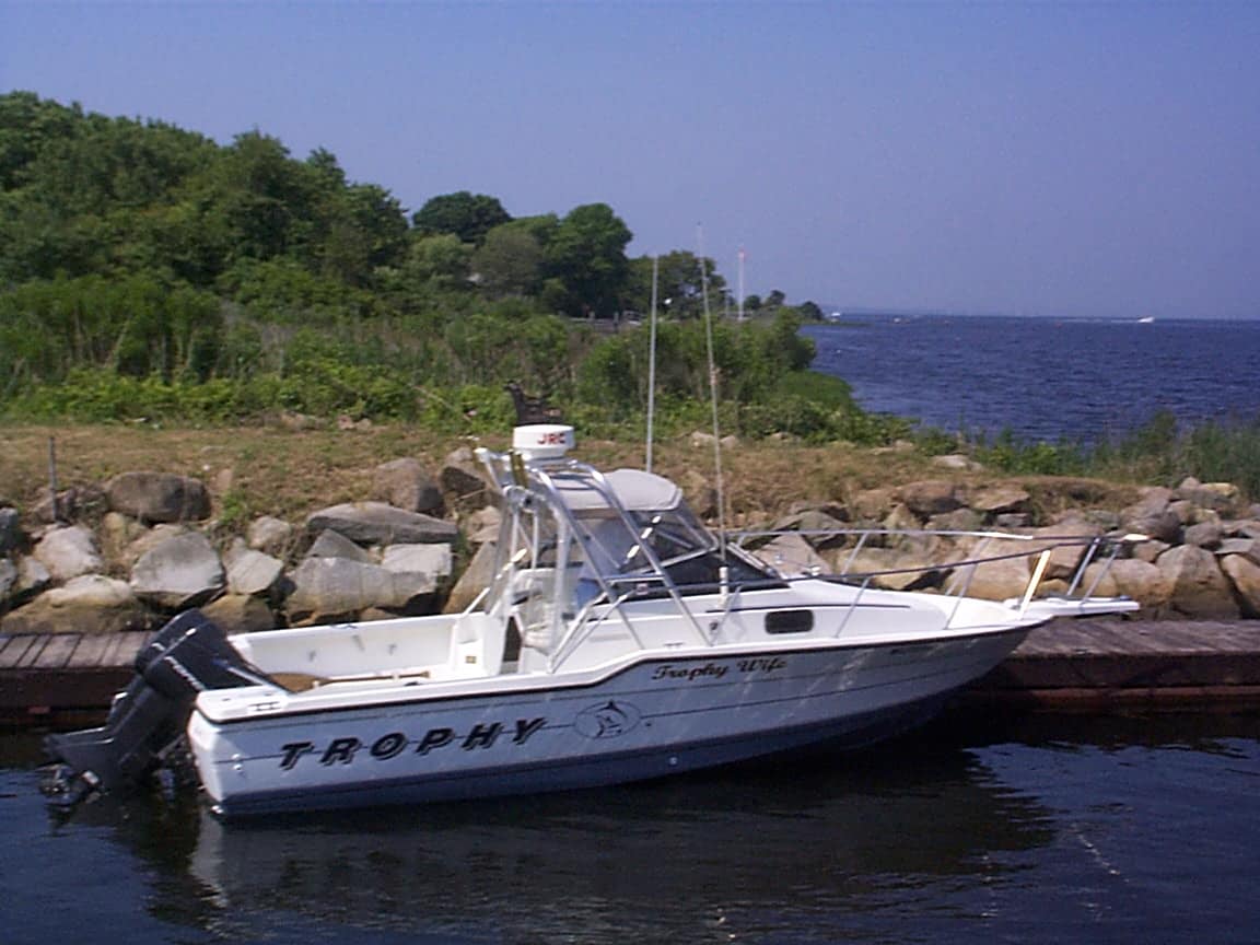 Trophy 2302 Arch 1989 image 1